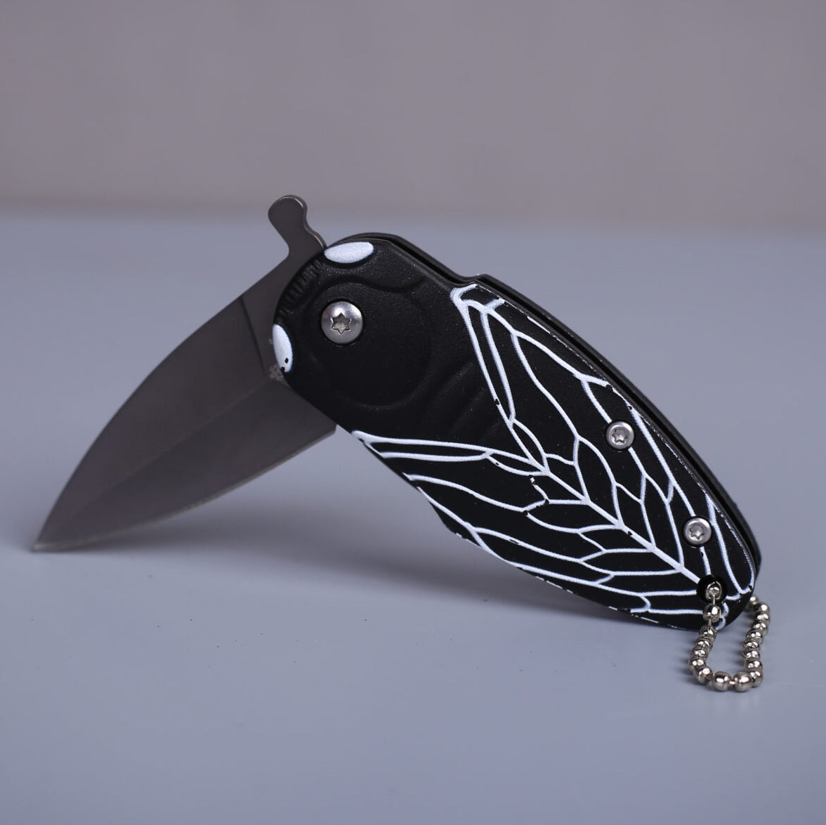 Spider Web Mini