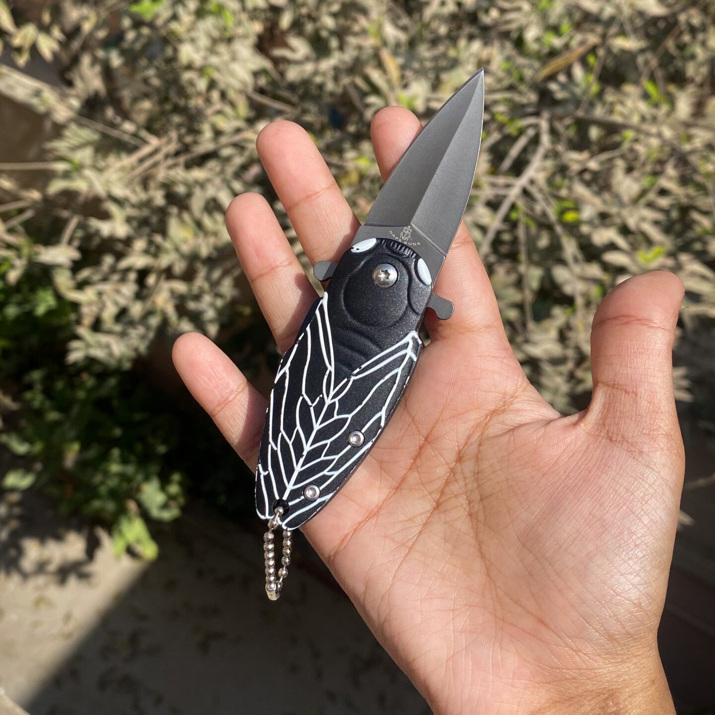 Spider Web Mini